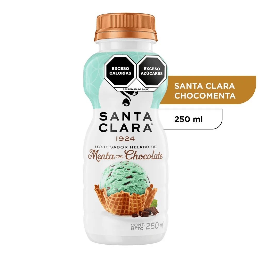 Leche Choco Menta 250 ml.